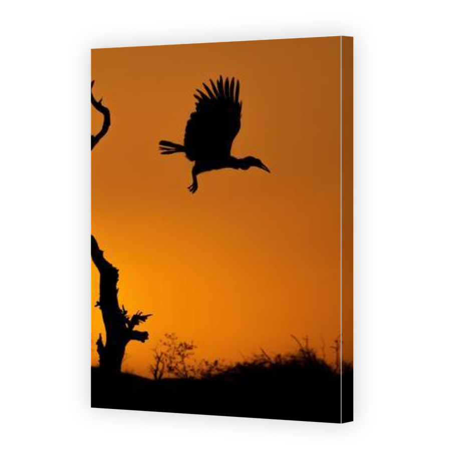 Thumbnail for Canvas - Gallery Canvas Wrap