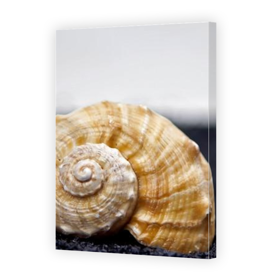 Thumbnail for Canvas - Gallery Canvas Wrap