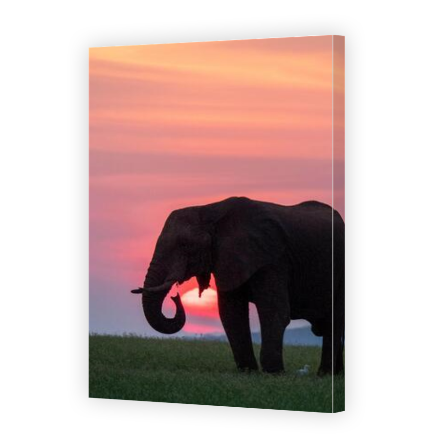 Thumbnail for Canvas - Gallery Canvas Wrap