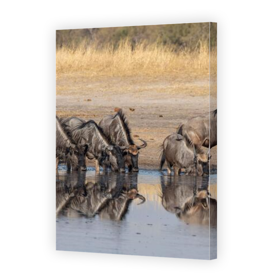 Thumbnail for Canvas - Gallery Canvas Wrap