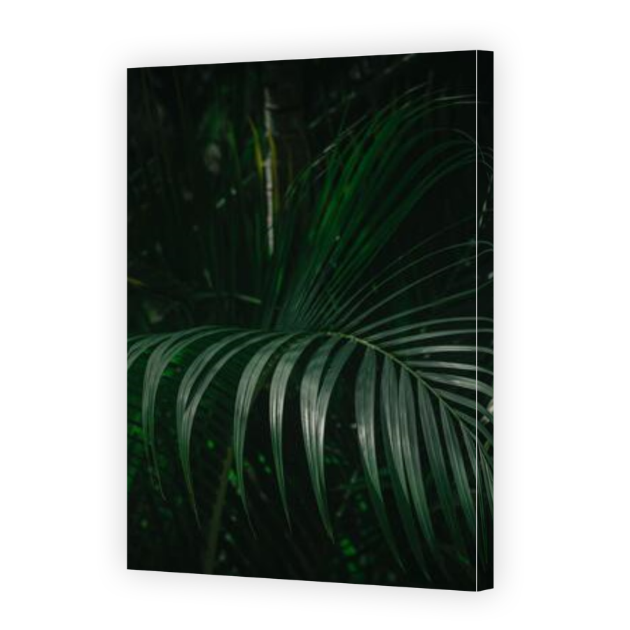 Thumbnail for Canvas - Gallery Canvas Wrap