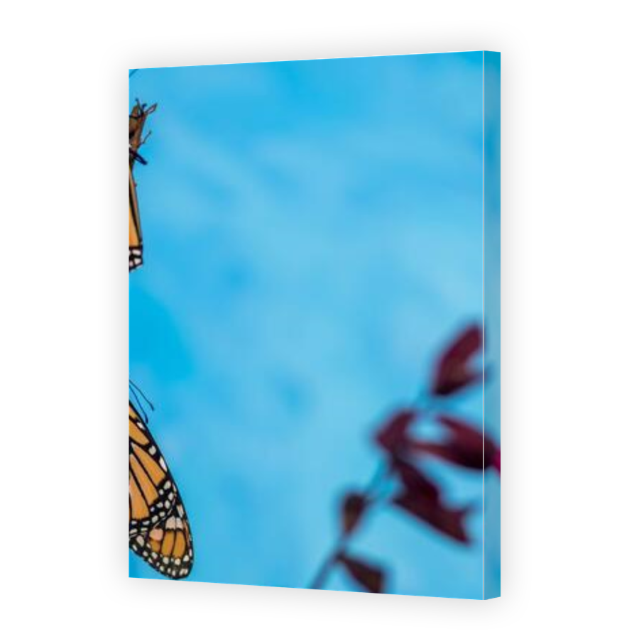 Thumbnail for Canvas - Gallery Canvas Wrap