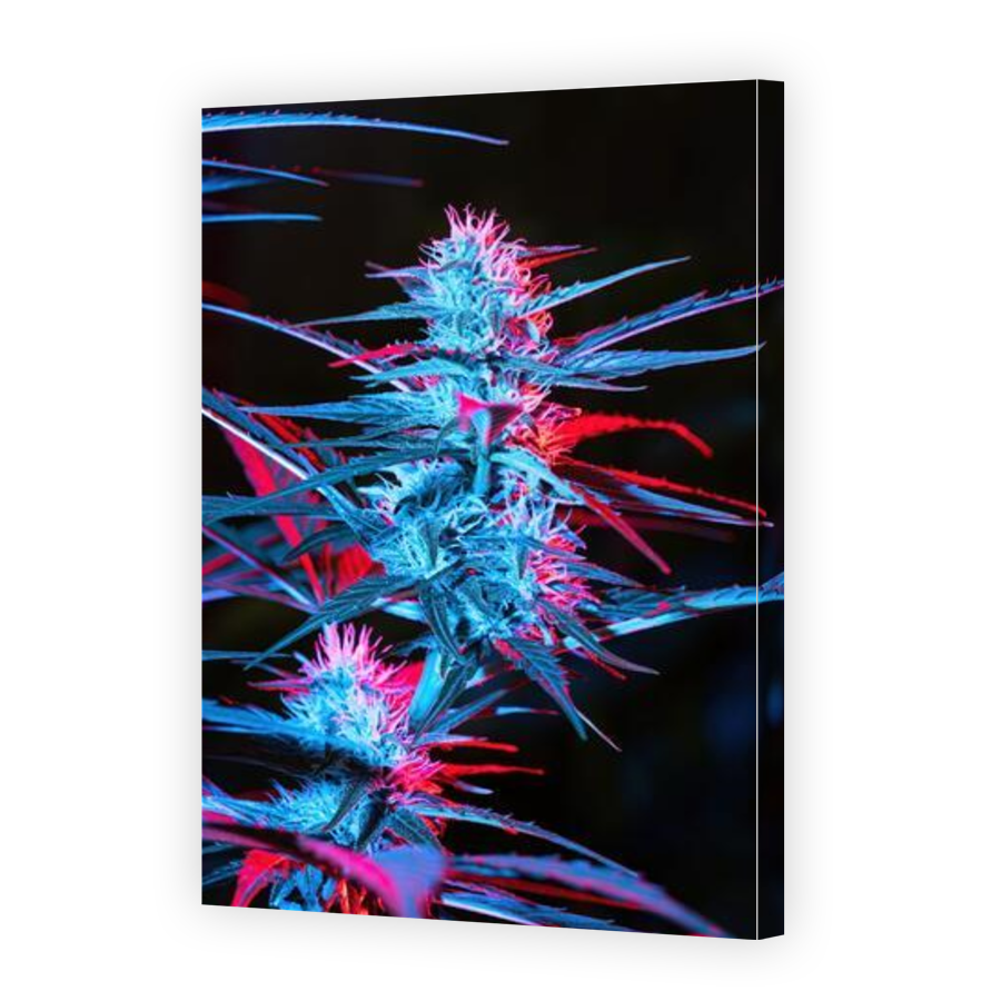 Thumbnail for Canvas - Gallery Canvas Wrap