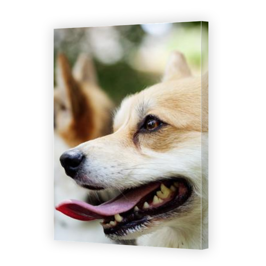 Thumbnail for Canvas - Gallery Canvas Wrap
