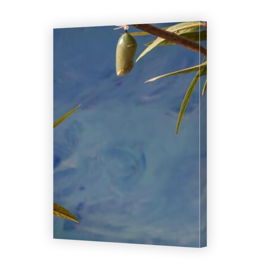 Thumbnail for Canvas - Gallery Canvas Wrap