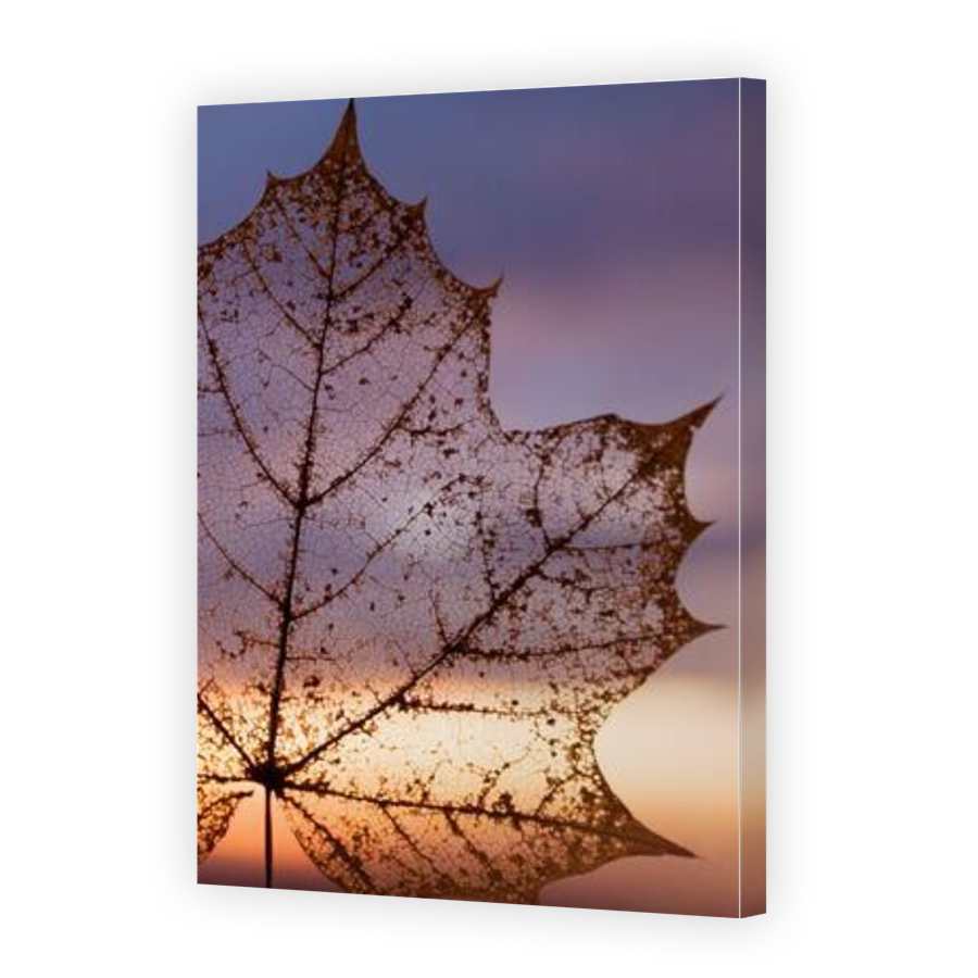 Thumbnail for Canvas - Gallery Canvas Wrap