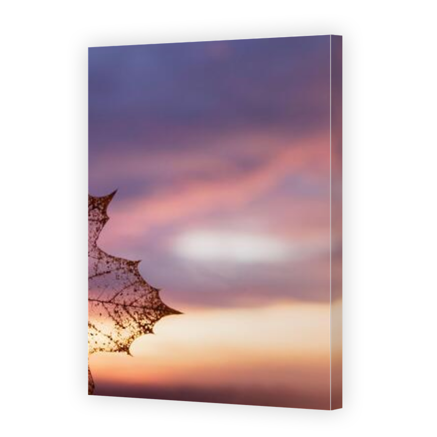Thumbnail for Canvas - Gallery Canvas Wrap