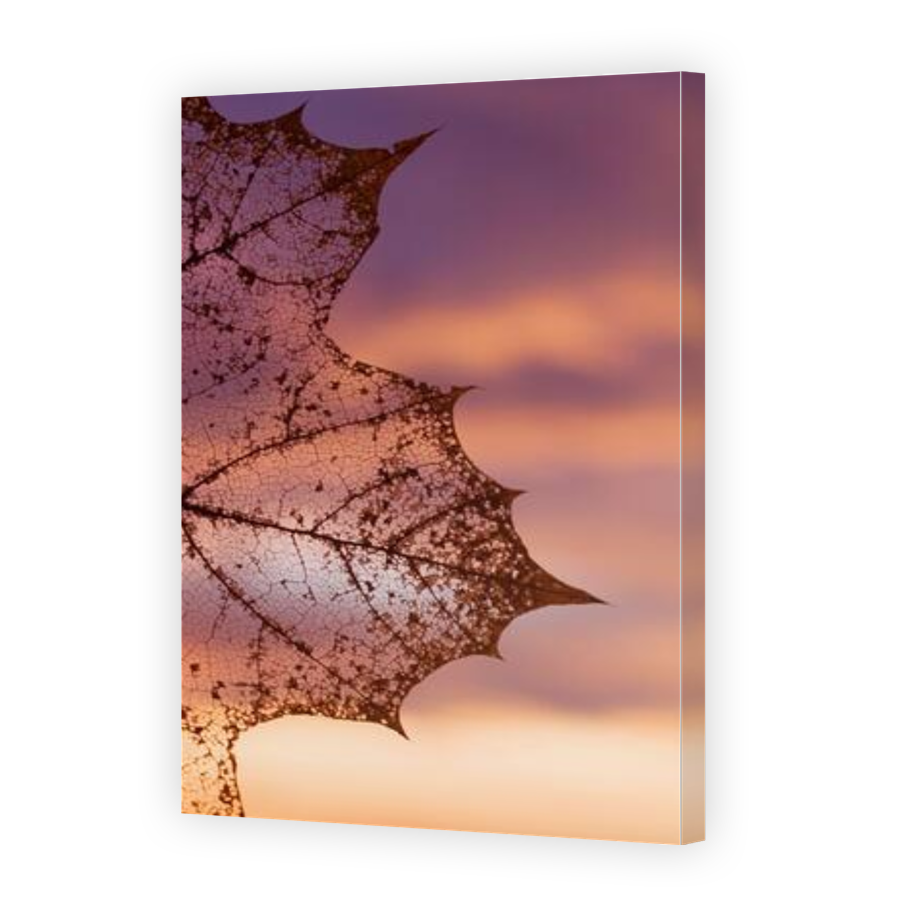 Thumbnail for Canvas - Gallery Canvas Wrap