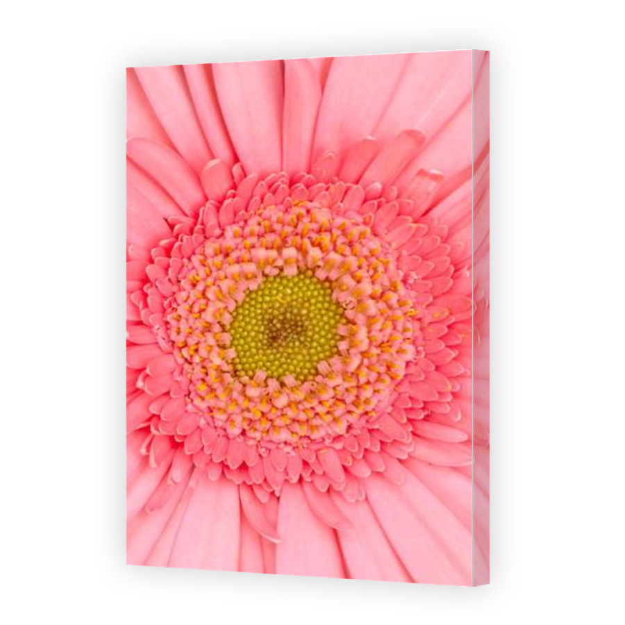 Thumbnail for Canvas - Gallery Canvas Wrap