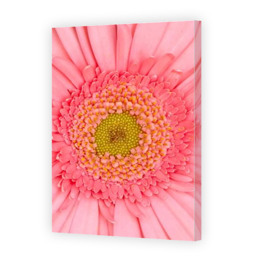 Thumbnail for Canvas - Gallery Canvas Wrap