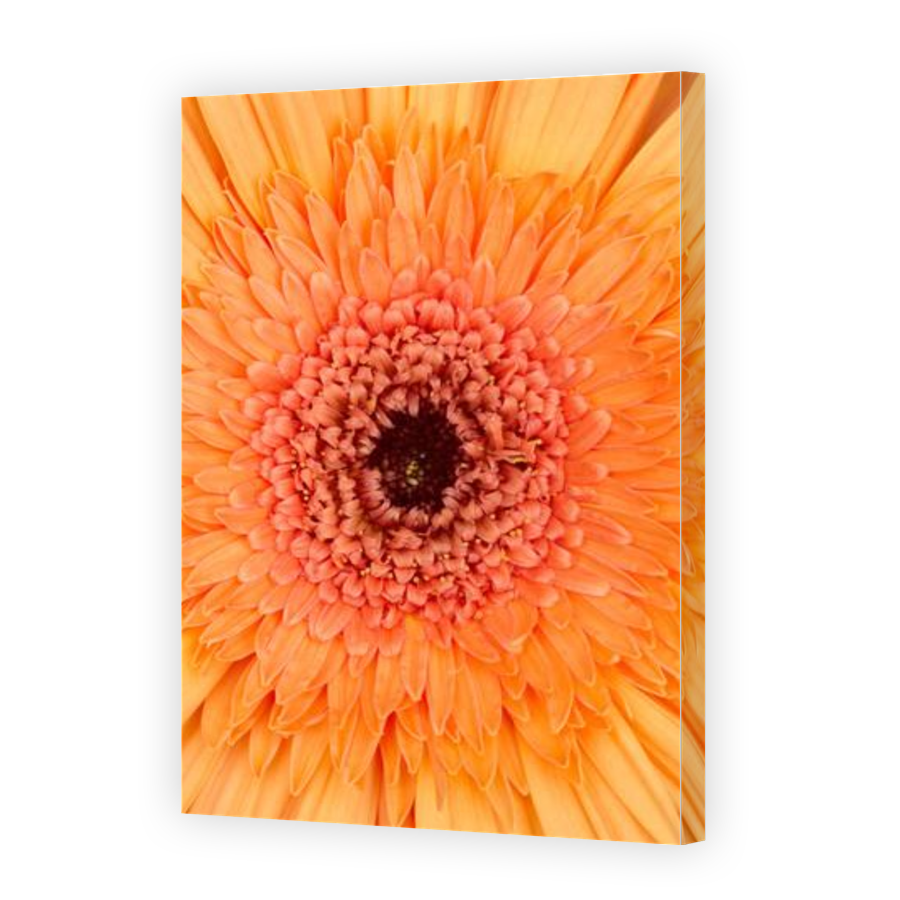 Thumbnail for Canvas - Gallery Canvas Wrap