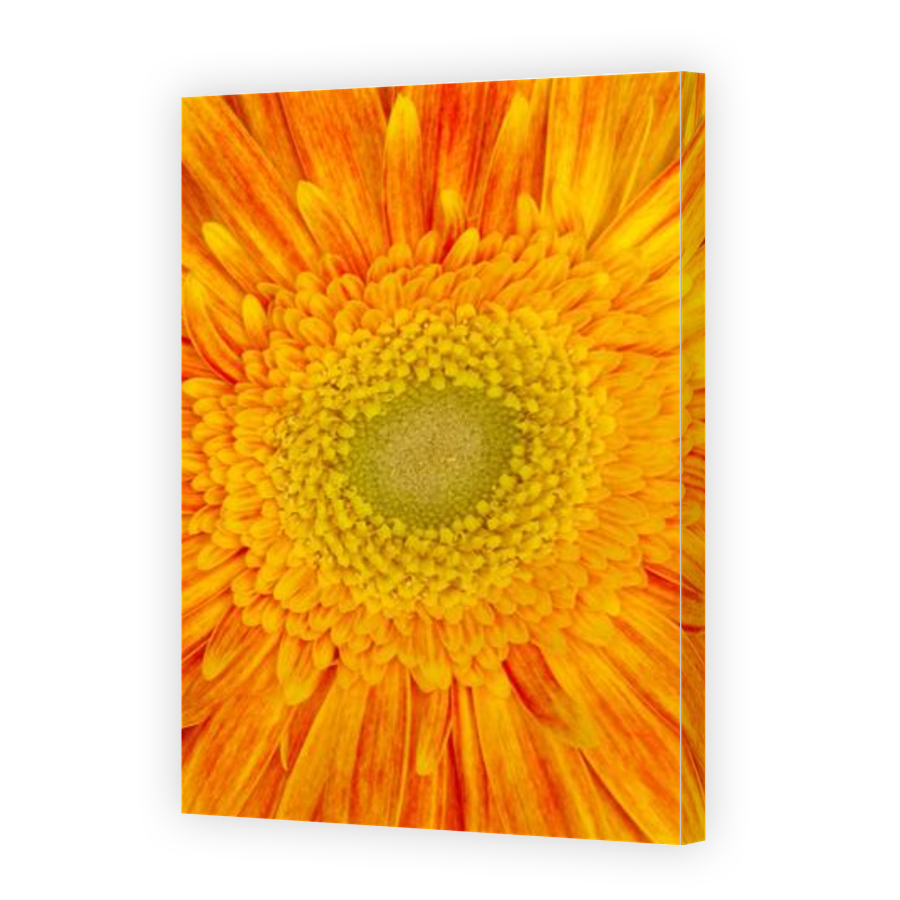 Thumbnail for Canvas - Gallery Canvas Wrap