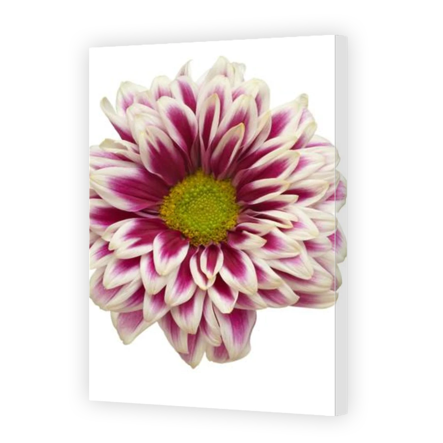 Thumbnail for Canvas - Gallery Canvas Wrap