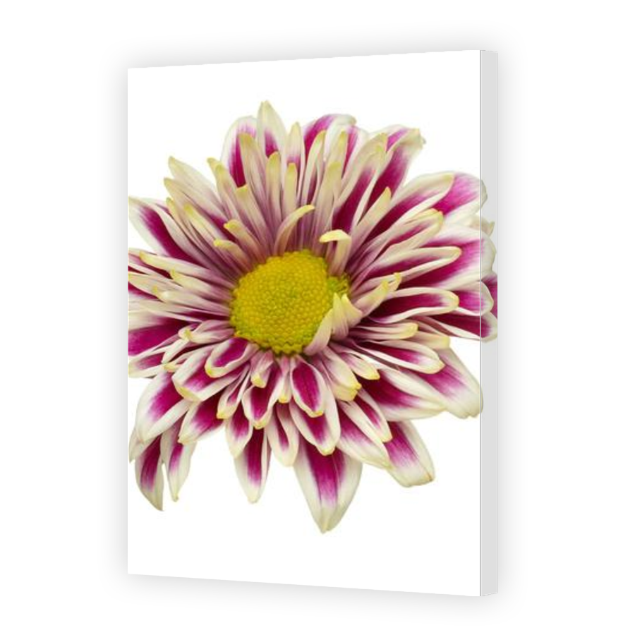 Thumbnail for Canvas - Gallery Canvas Wrap