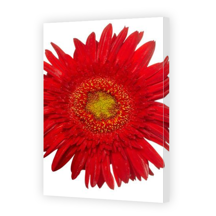 Thumbnail for Canvas - Gallery Canvas Wrap