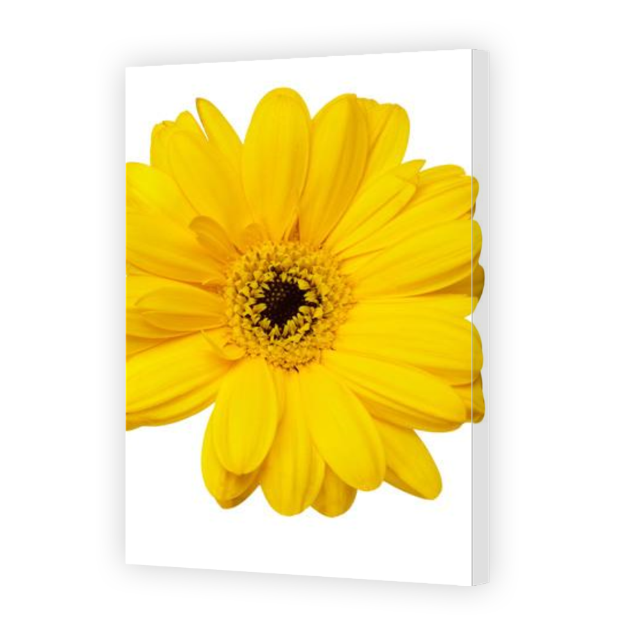 Thumbnail for Canvas - Gallery Canvas Wrap