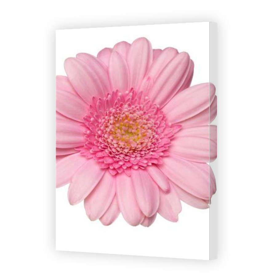 Thumbnail for Canvas - Gallery Canvas Wrap