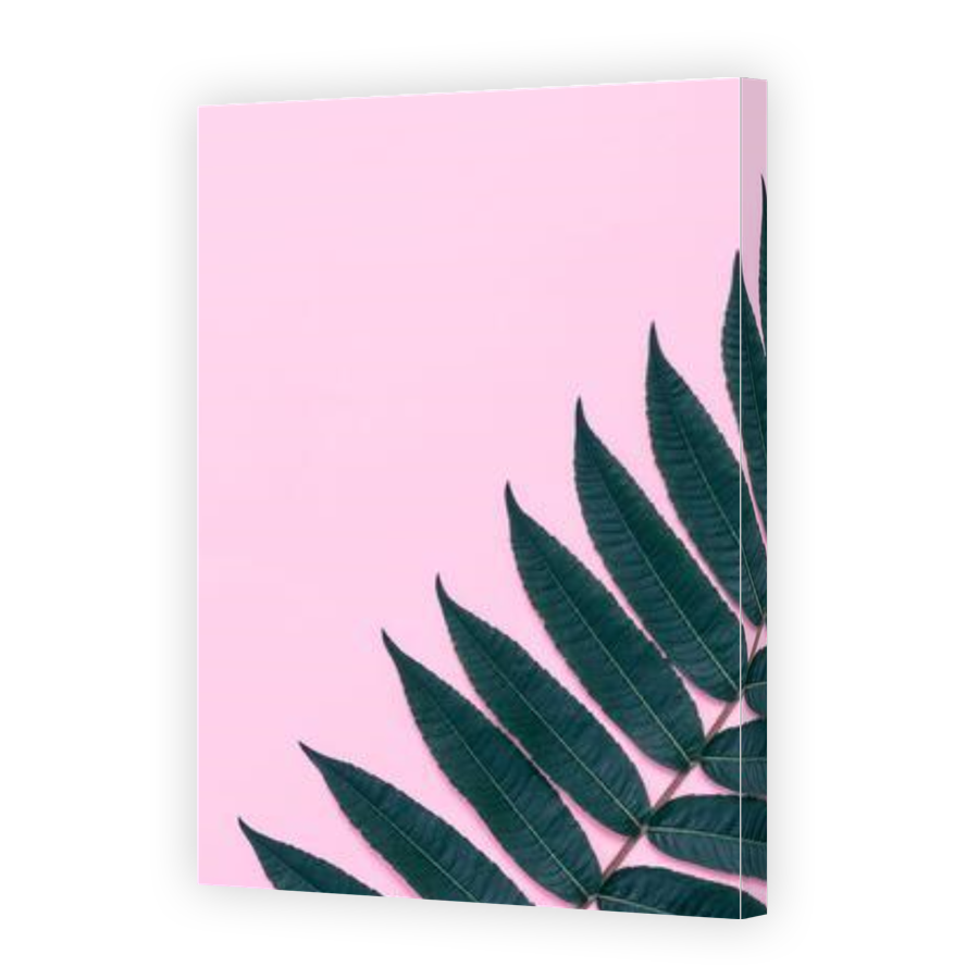 Thumbnail for Canvas - Gallery Canvas Wrap