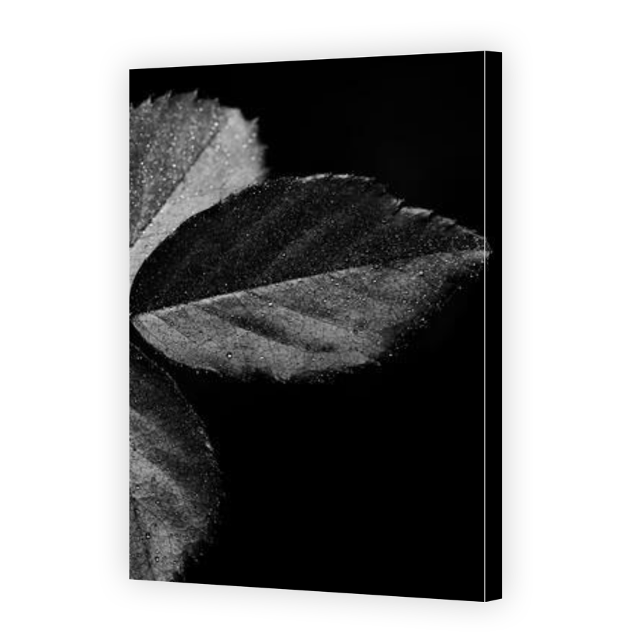 Thumbnail for Canvas - Gallery Canvas Wrap