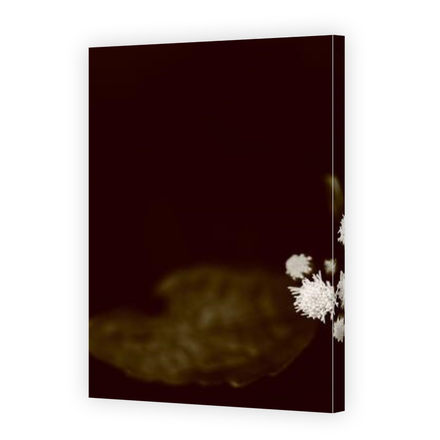 Thumbnail for Canvas - Gallery Canvas Wrap