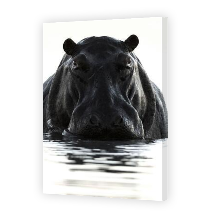 Thumbnail for Canvas - Gallery Canvas Wrap