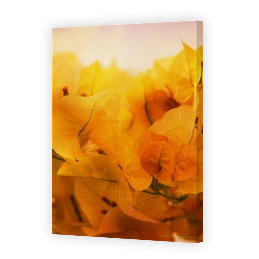 Thumbnail for Canvas - Gallery Canvas Wrap
