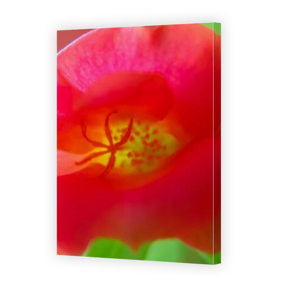 Thumbnail for Canvas - Gallery Canvas Wrap