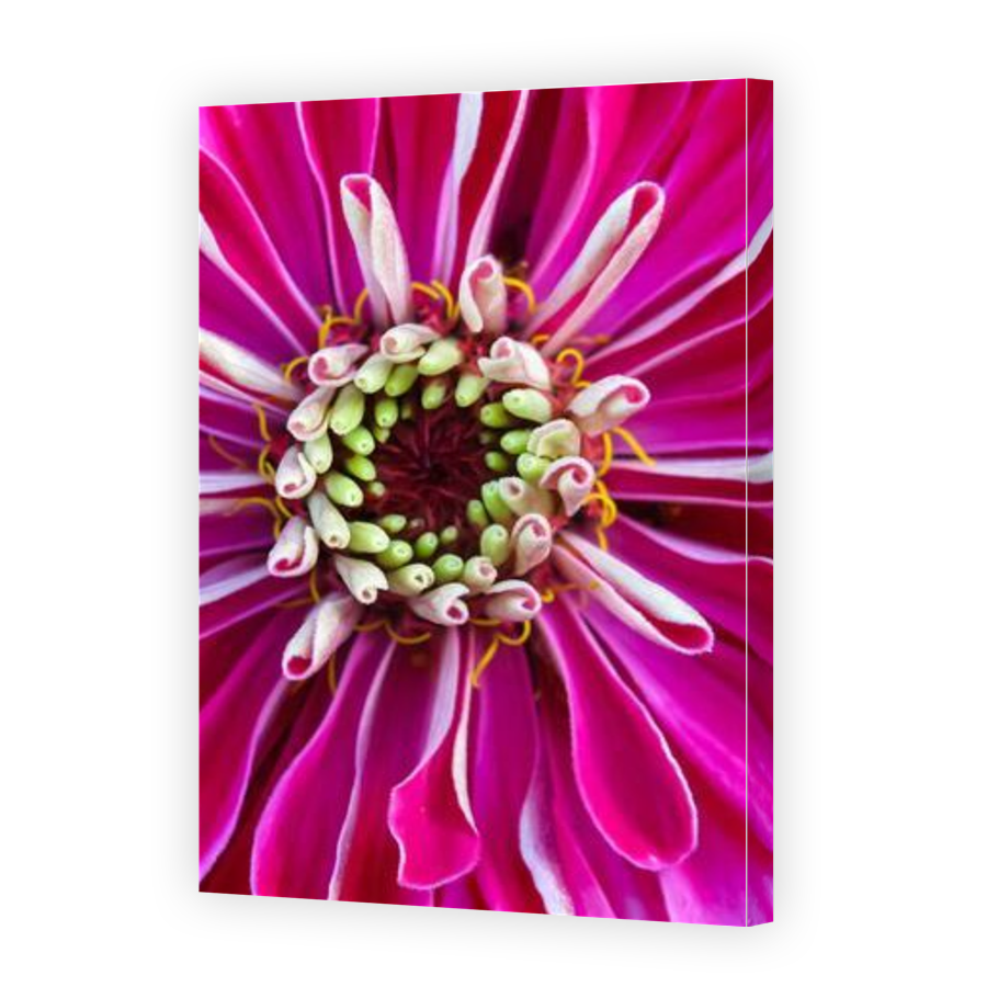 Thumbnail for Canvas - Gallery Canvas Wrap