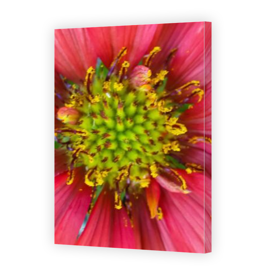 Thumbnail for Canvas - Gallery Canvas Wrap