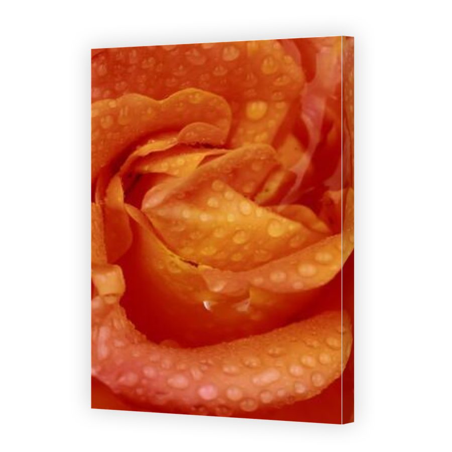 Thumbnail for Canvas - Gallery Canvas Wrap