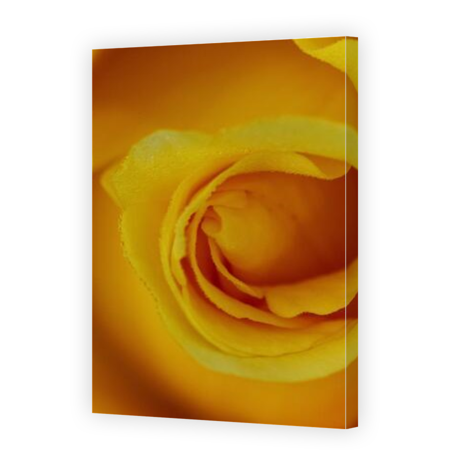 Thumbnail for Canvas - Gallery Canvas Wrap