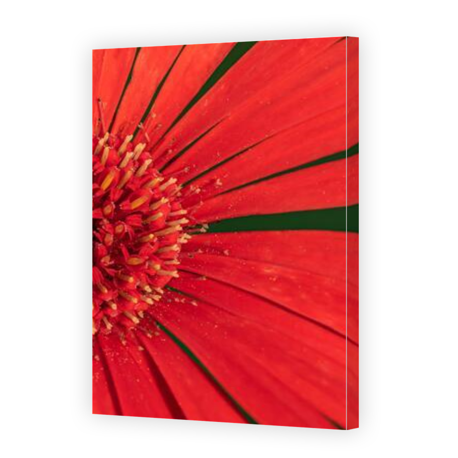 Thumbnail for Canvas - Gallery Canvas Wrap