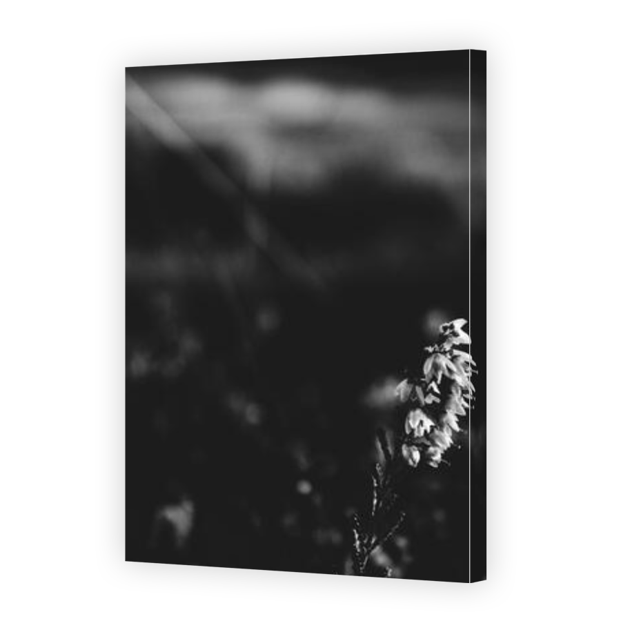 Thumbnail for Canvas - Gallery Canvas Wrap