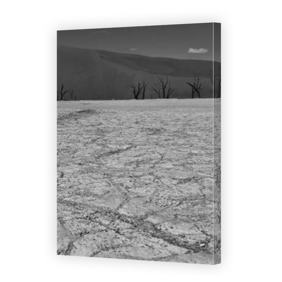 Thumbnail for Canvas - Gallery Canvas Wrap