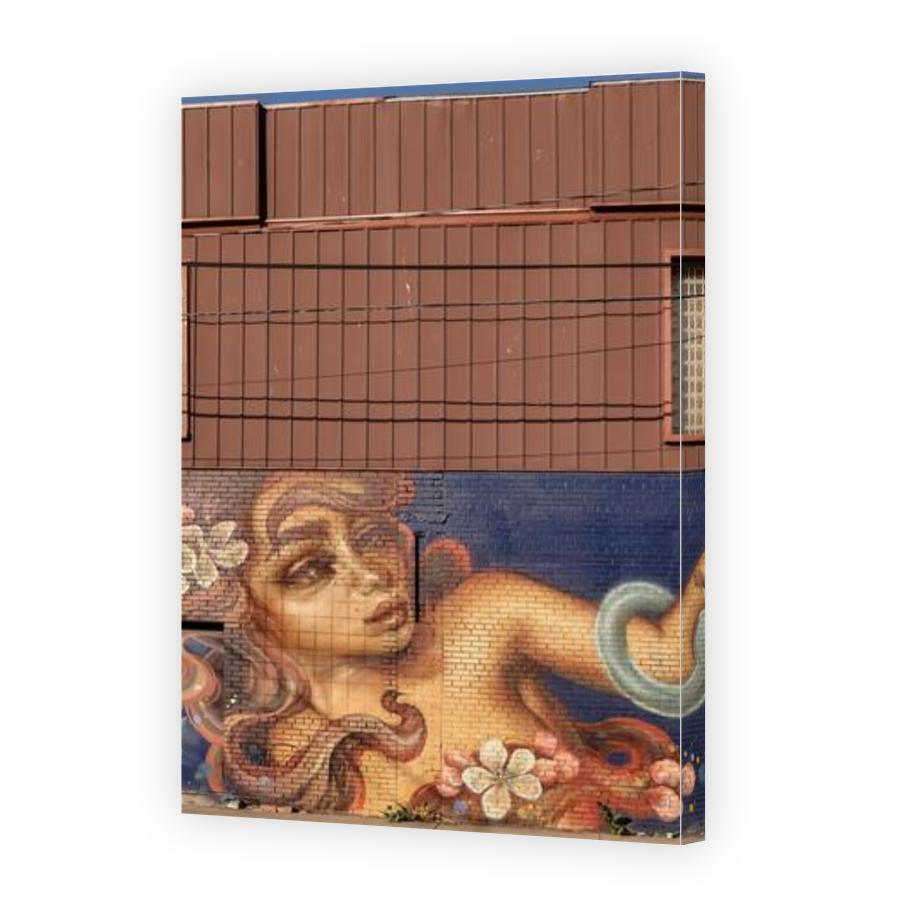 Thumbnail for Canvas - Gallery Canvas Wrap