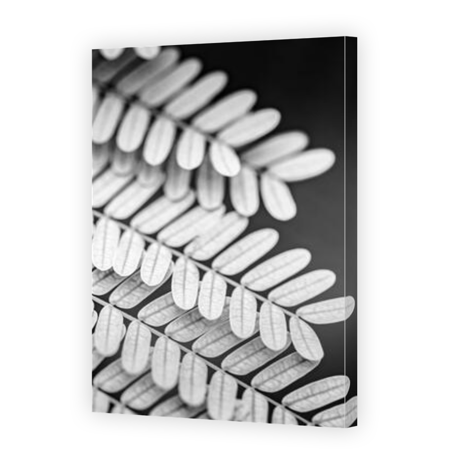 Thumbnail for Canvas - Gallery Canvas Wrap