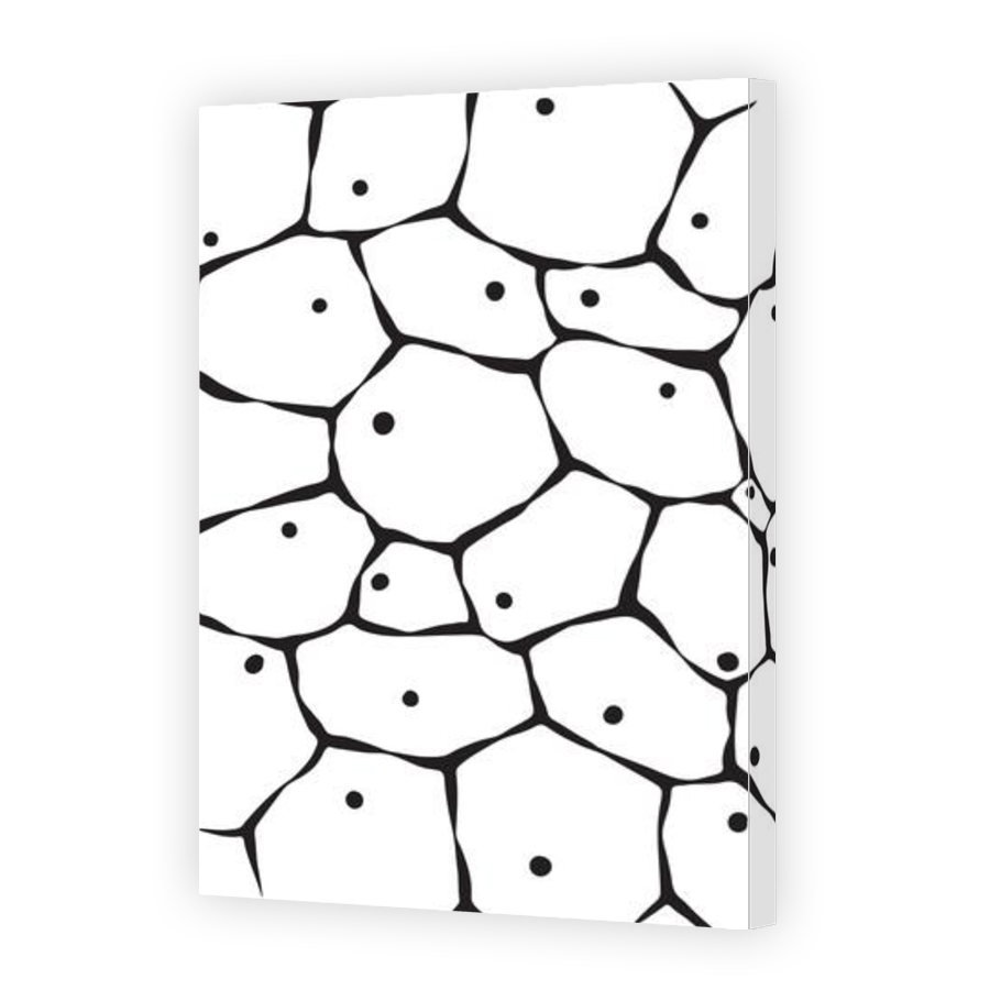 Thumbnail for Canvas - Gallery Canvas Wrap