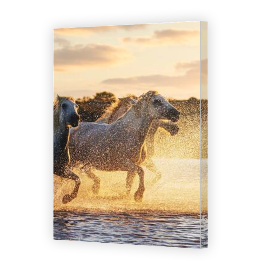 Thumbnail for Canvas - Gallery Canvas Wrap