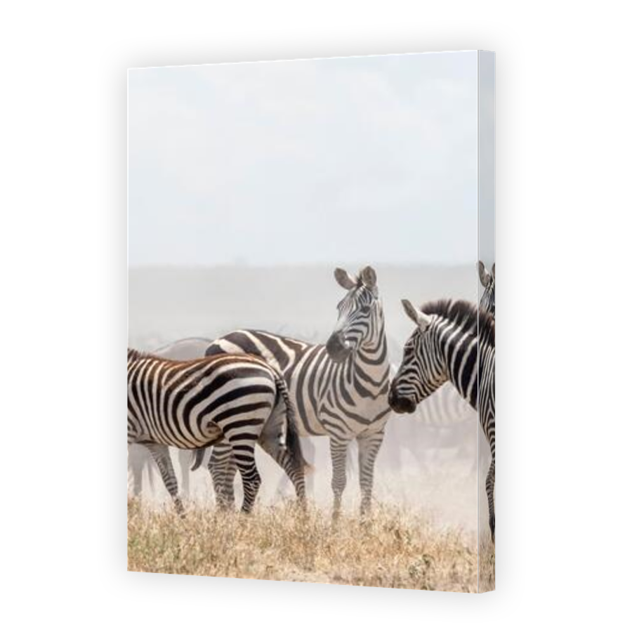 Thumbnail for Canvas - Gallery Canvas Wrap