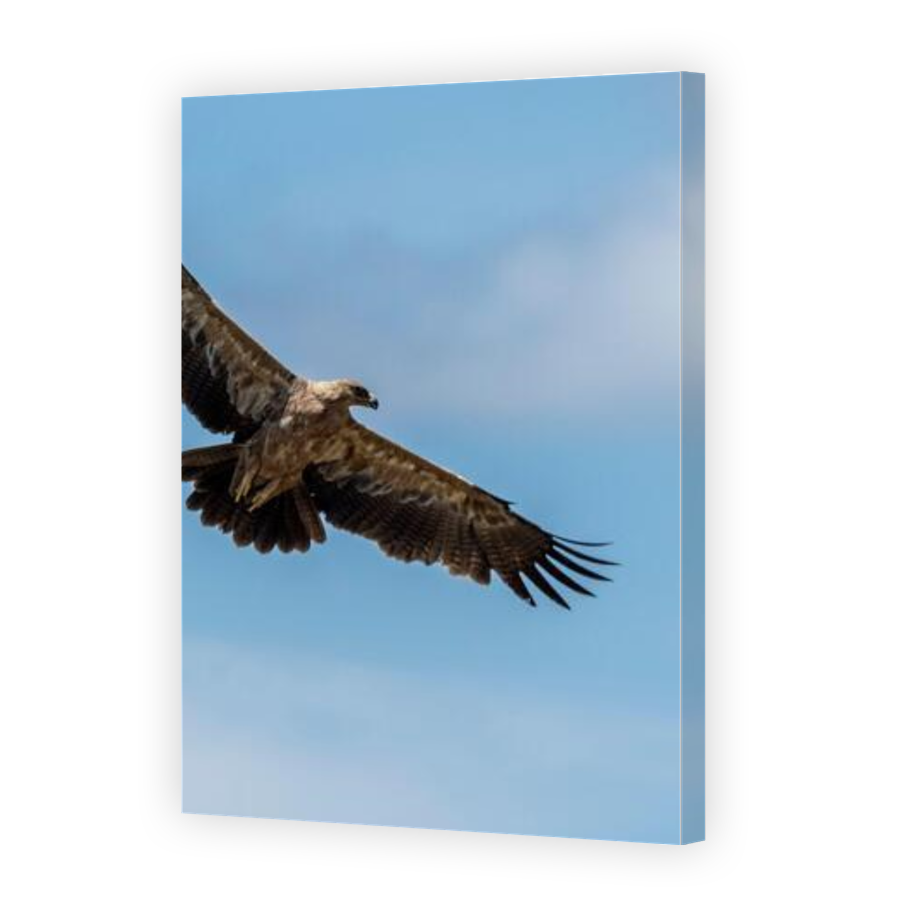 Thumbnail for Canvas - Gallery Canvas Wrap