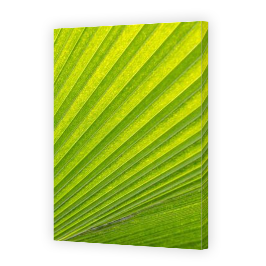 Thumbnail for Canvas - Gallery Canvas Wrap
