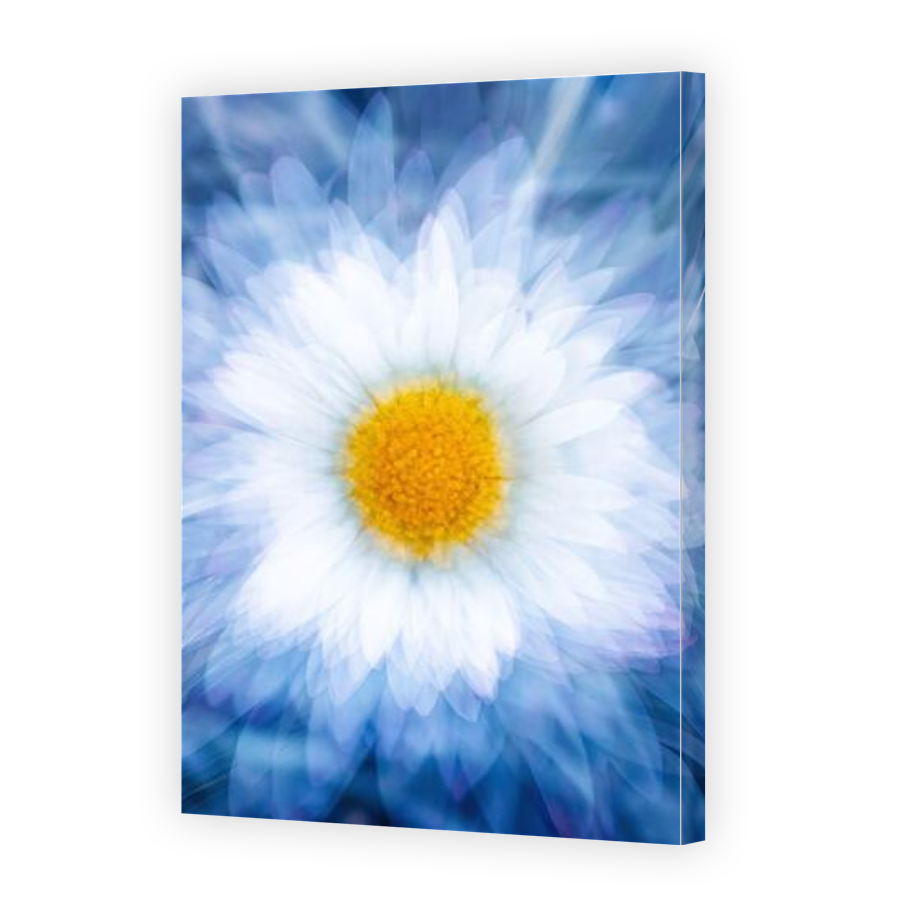 Thumbnail for Canvas - Gallery Canvas Wrap