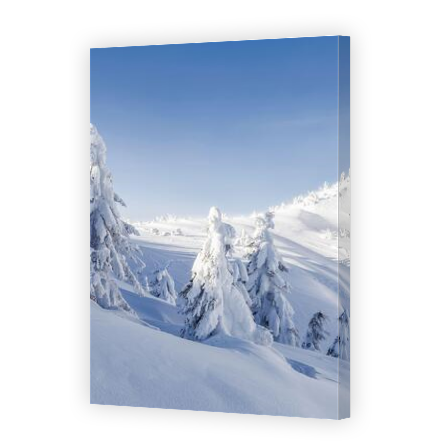 Thumbnail for Canvas - Gallery Canvas Wrap