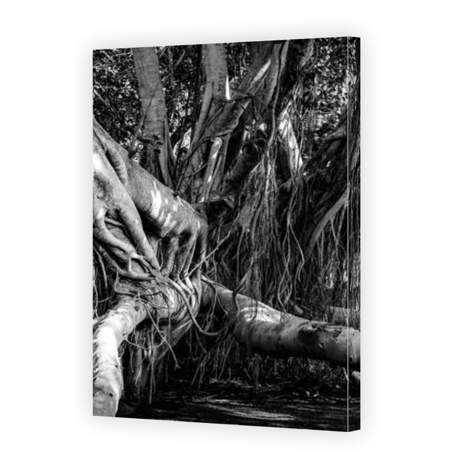 Thumbnail for Canvas - Gallery Canvas Wrap