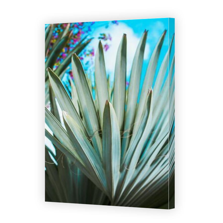 Thumbnail for Canvas - Gallery Canvas Wrap
