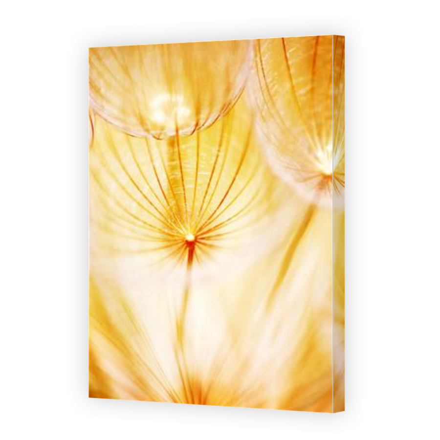 Thumbnail for Canvas - Gallery Canvas Wrap