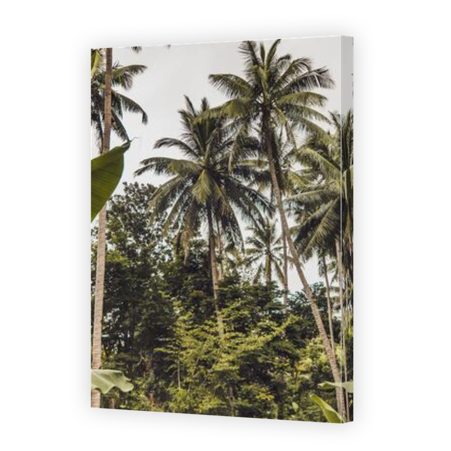 Thumbnail for Canvas - Gallery Canvas Wrap