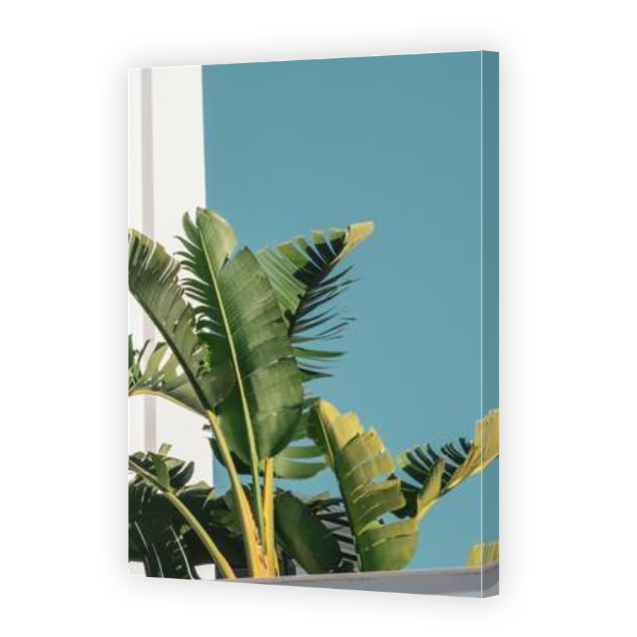 Thumbnail for Canvas - Gallery Canvas Wrap