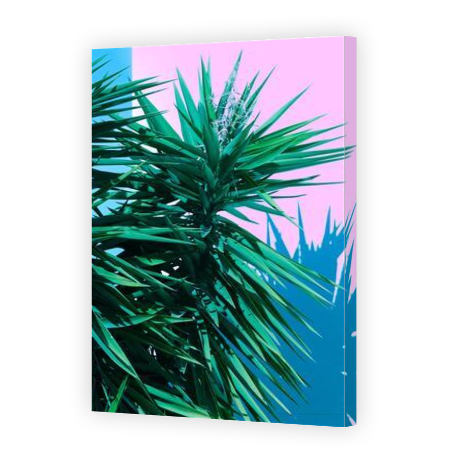 Thumbnail for Canvas - Gallery Canvas Wrap