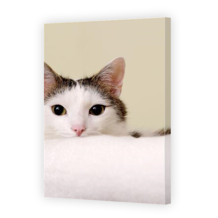 Thumbnail for Canvas - Gallery Canvas Wrap